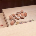 成生 - 石突の立派なこと！