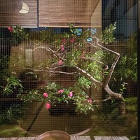 本湖月 - 