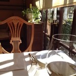 TRATTORIA ALBERO - 