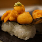 千春鮨 - ハイドロ仕様