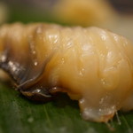 千春鮨 - ホッキひも