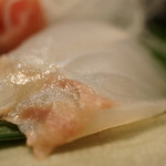 千春鮨 - ヒラメ