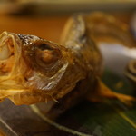 千春鮨 - はたはたイキウメ