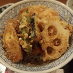 Tempura Temmatsu - かき揚げ天丼