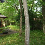 由布院 玉の湯 - 部屋前の庭