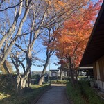 寺家乃鰻寮 - 駐車場からお店へ入る道