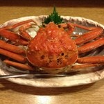 春のお店 - セイ甲