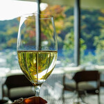 ムニ キョウト - 