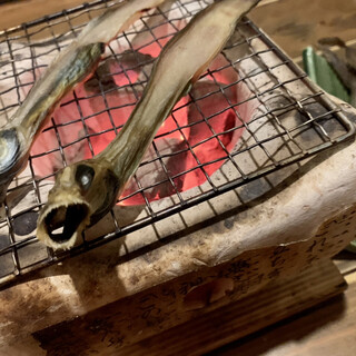 地魚地酒 浜とみ_1