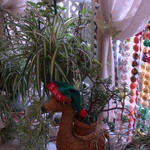 ケル シャンス - クリスマスモード