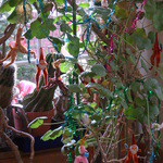 ケル シャンス - クリスマスモード