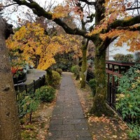 雀の庵 郡上 - エントランス