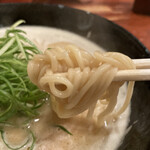 弘雅流製麺 - 鶏骨醤油（麺リフト）