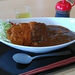 となりのカレー屋さん - 上☆大日カレー（上とんかつカレー）