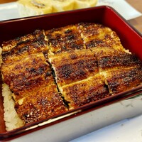 うなぎ処 山道 - うな重
