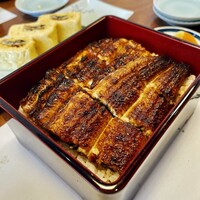 うなぎ処 山道 - うな重