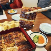 うなぎ処 山道 - うな重