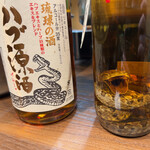 Motsuyaki Kushiage Tarai - ハブ酒
