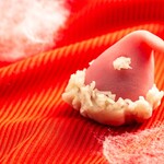 御菓子所 高木 - 