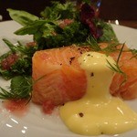 モンプチコションローズ - サーモン