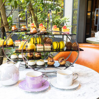 GENTLE Dining - 