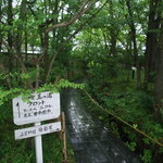 由布院 玉の湯 - 母屋への小径