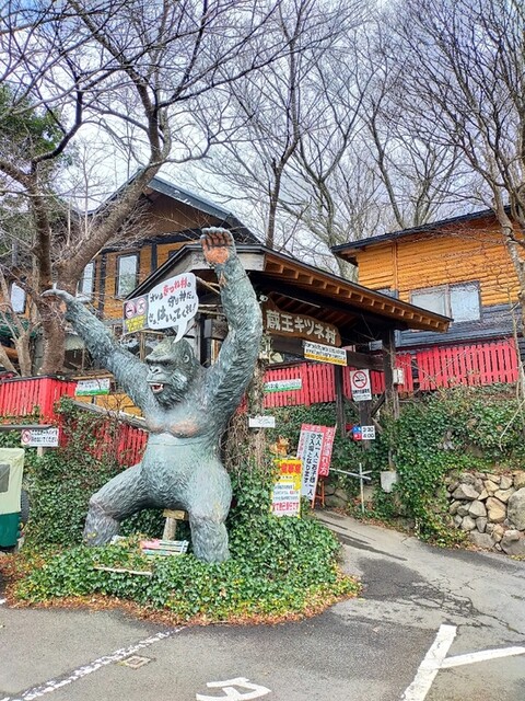 宮城蔵王 きつね村（MIYAGIZAO きつね村） - 白石（その他）の写真