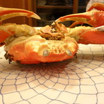 と村 - 兵庫県浜坂の 松葉蟹　(2012/12)