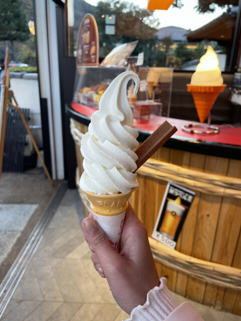 Kyoto Arashiyama Saga Park Hon Ten