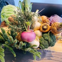 アグリスケープ - 本日の使用食材