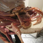 銀座 しのはら - 見事な松葉ガニが提示される