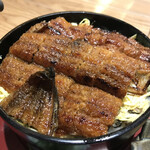 Unagi Ryouri Yoshinoya - 錦糸卵と刻み海苔が