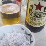 しらすおろし200円　サッポロ赤星