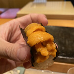 鮨 まつうら - 雲丹の粒がピンと立ち、エロティック　これも来年コンスタントに食べられるのかなぁってくらいの高騰ぶりだそうな