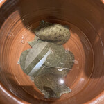 四季 武むら - スッポン。店主が触らせてくれます（笑）