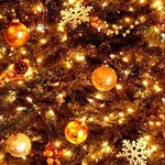 TRATTORIA Fragranza - 