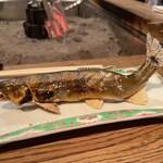 柳家 - 子持ち鮎