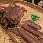 二代目 梅太郎 - 