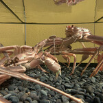 二代目 梅太郎 - 