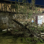 カフェ・ラ・ファミーユ - 庭も素敵