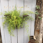 カフェ・ラ・ファミーユ - 塀も美しく