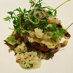 カンテサンス - 