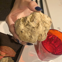 マルゴット エ バッチャーレ - 