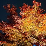 合掌レストラン 大藏 - 