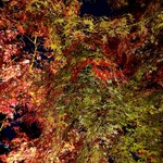 合掌レストラン 大藏 - 