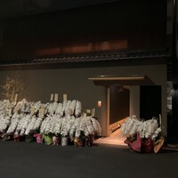 弧柳 - 外観