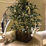 ソンブルイユ TOKYO - エントランスのクリスマスツリー