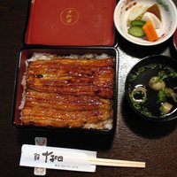 鰻 十和田 - 