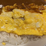 モジャカレー - 