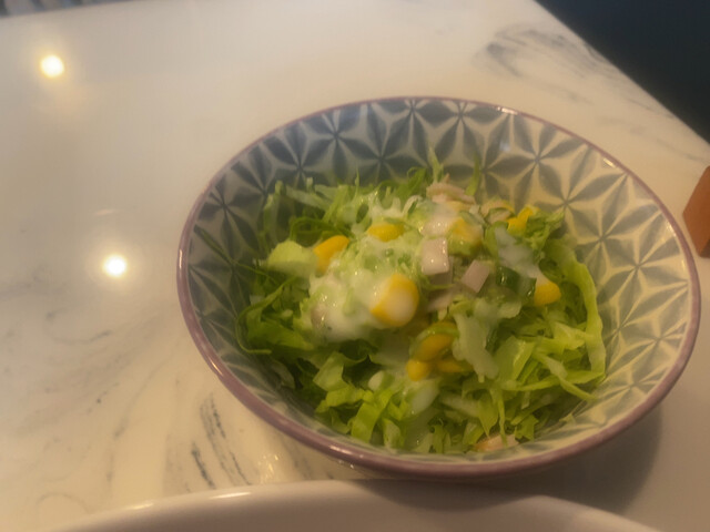 DARTS PARK OASIS photo 3